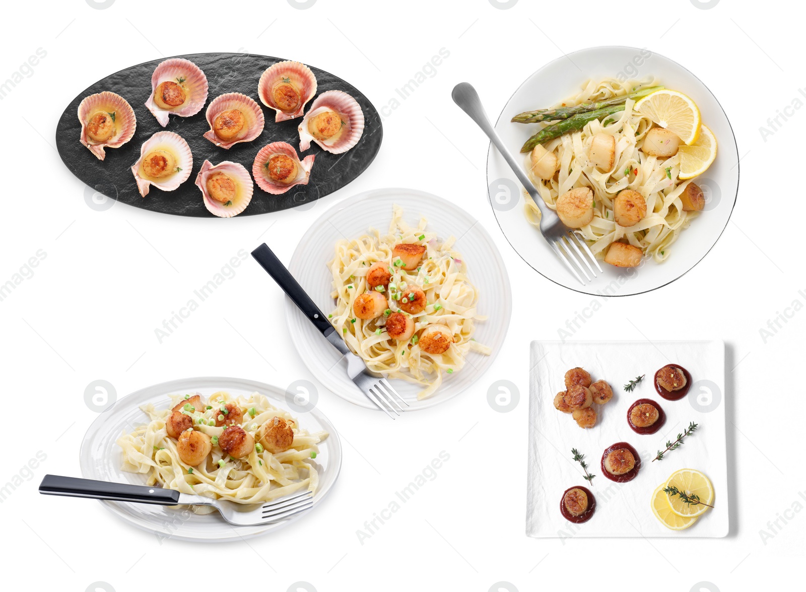 Image of Set of different dishes with scallops isolated on white, top view