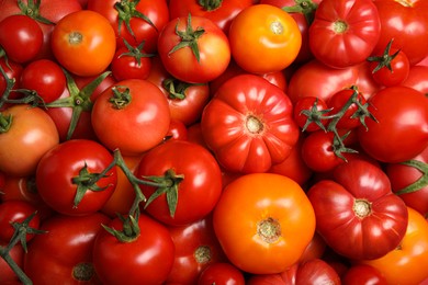 Many different ripe tomatoes as background, top view