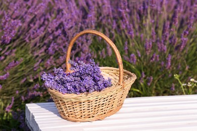 Photo of Wicker basket with aromatic lavender on white wooden bench outdoors