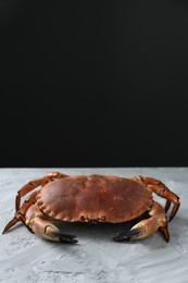 Photo of Delicious boiled crab on grey textured table. Space for text
