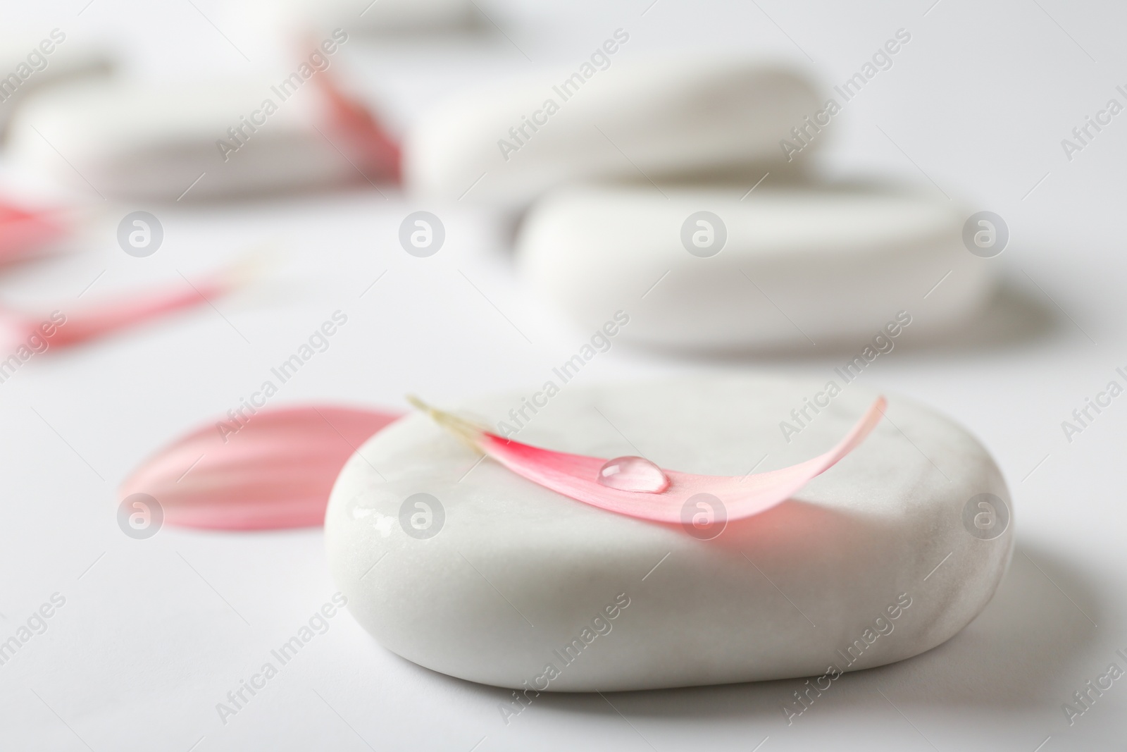 Photo of Spa stones and flower petals on white background. Space for text