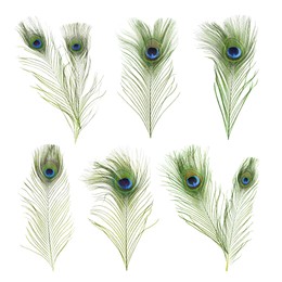 Beautiful bright peacock feathers on white background, collage 
