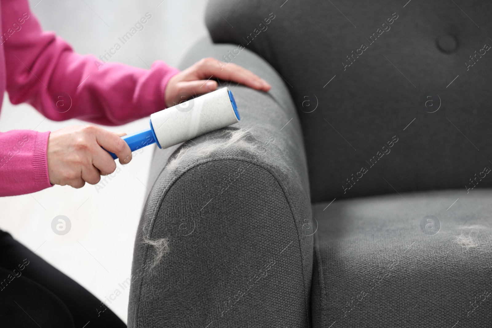 Photo of Woman with lint roller removing pet hair from sofa at home, closeup