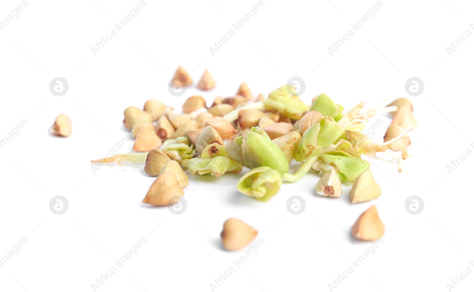 Photo of Sprouted green buckwheat grains isolated on white