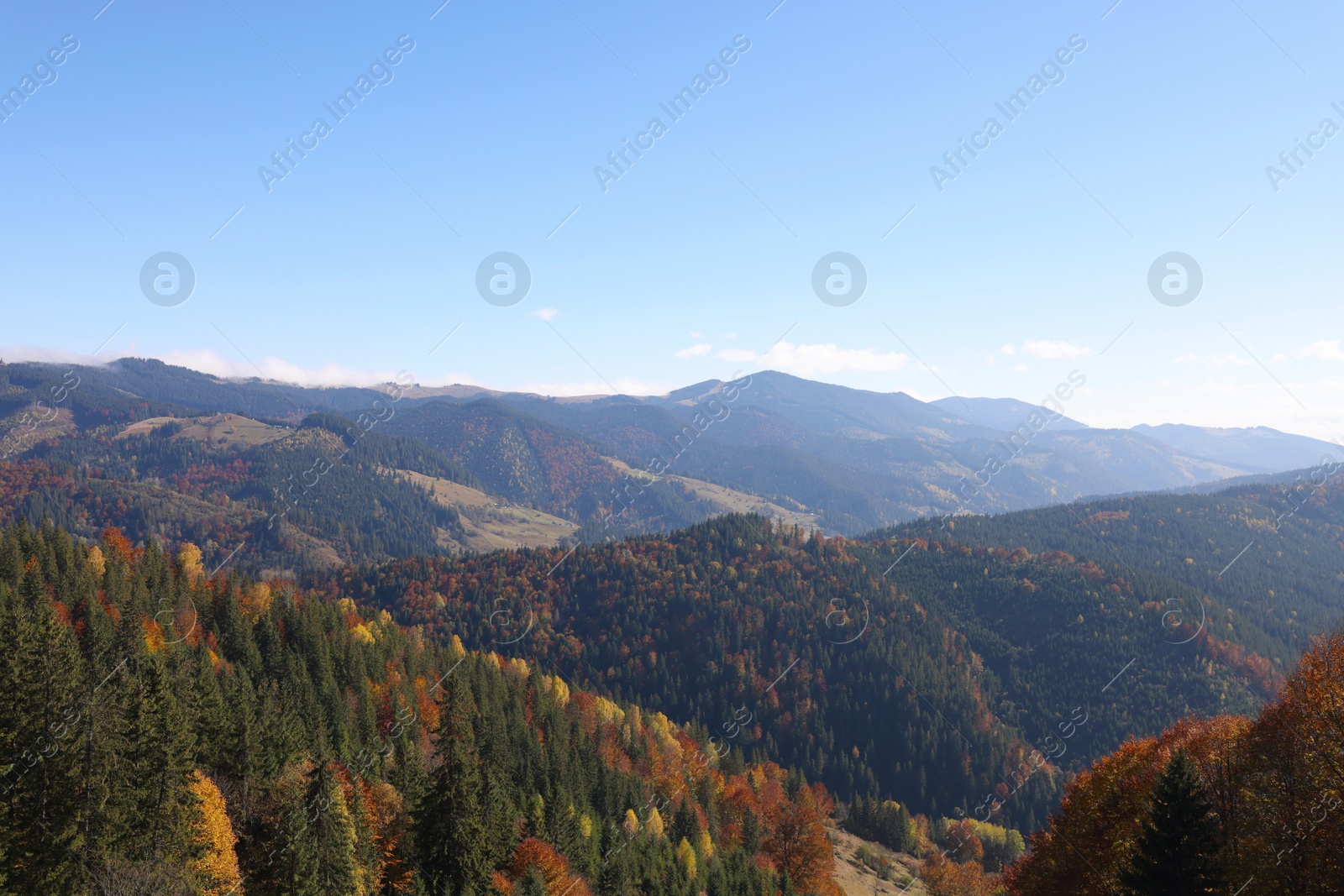 Photo of Beautiful landscape with autumn forest in mountains on sunny day