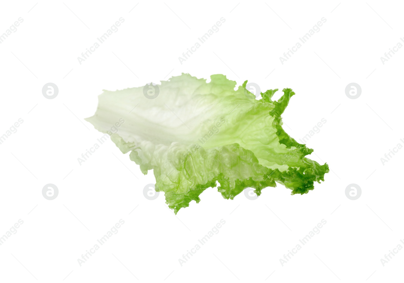 Photo of One green lettuce leaf isolated on white. Salad greens