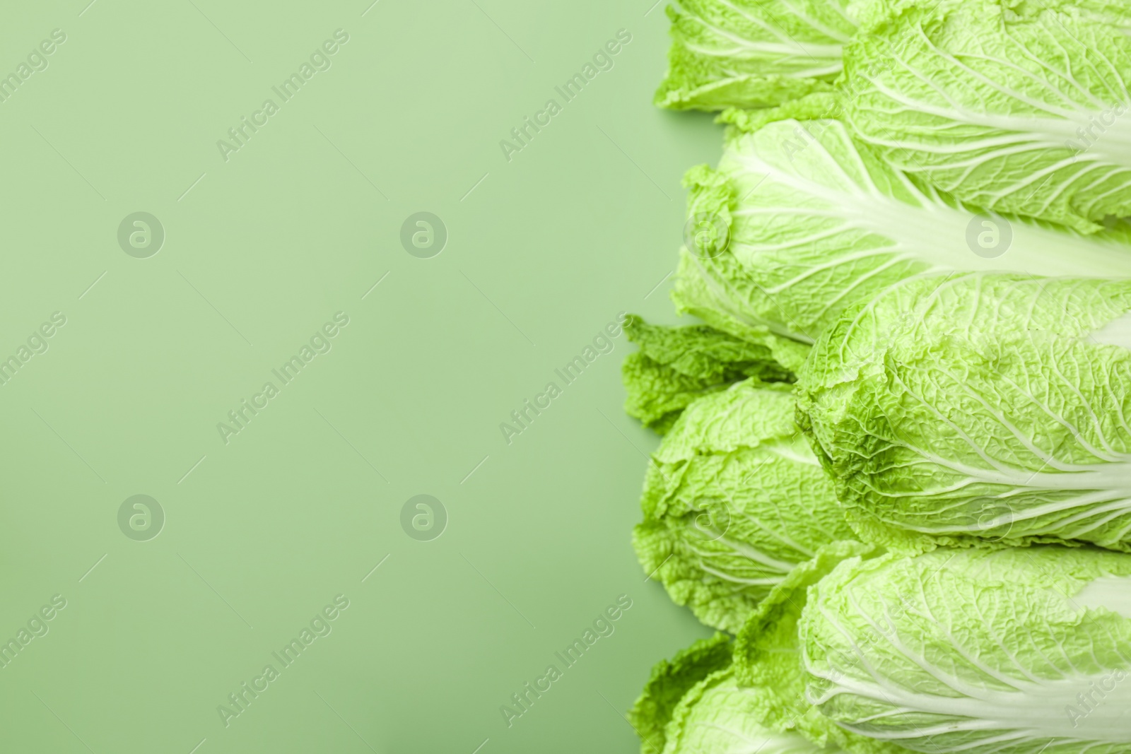 Photo of Many fresh Chinese cabbages on pale green background, top view. Space for text