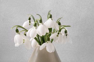 Photo of Beautiful snowdrops in vase on light grey background, closeup