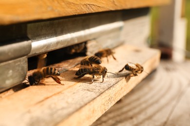 Photo of Closeup view of wooden hive with honey bees on sunny day