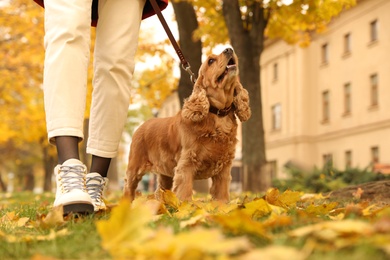 Photo of Woman with cute Cocker Spaniel in park on autumn day