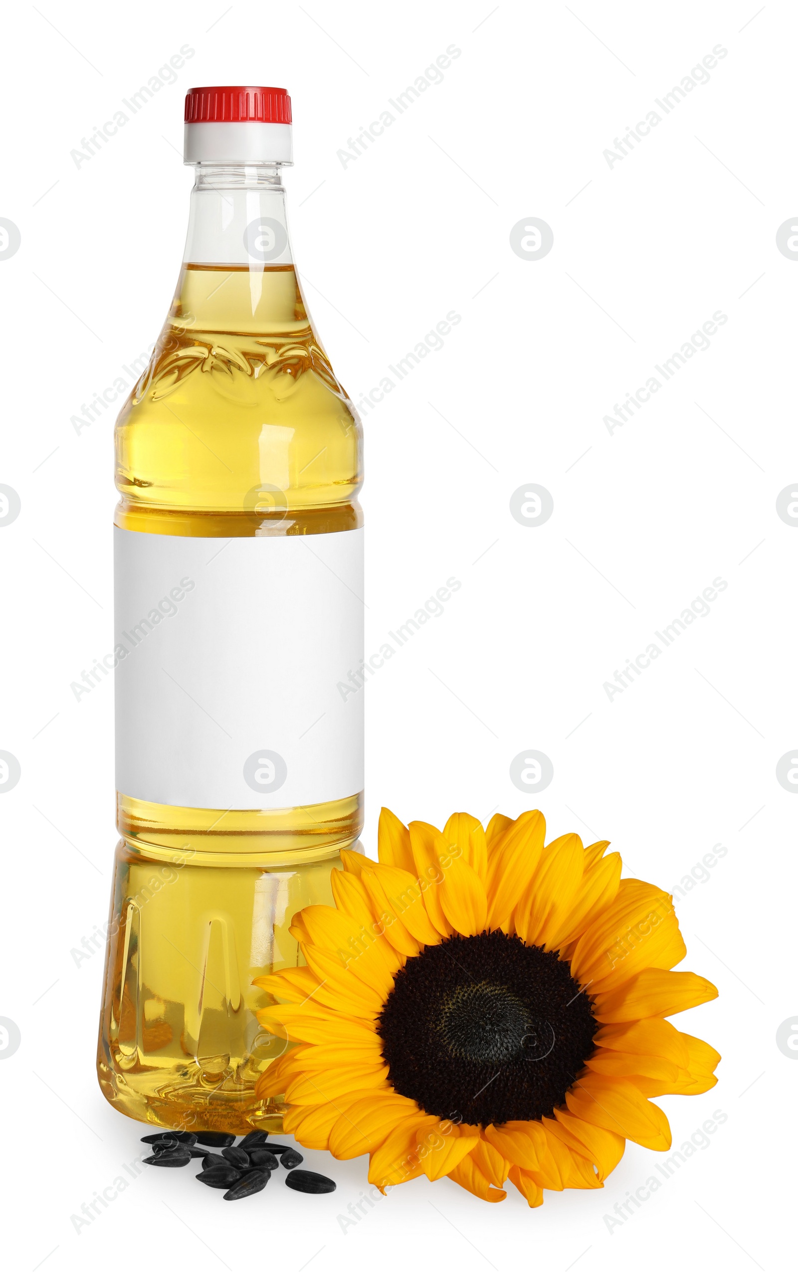 Photo of Sunflower cooking oil, seeds and yellow flower on white background