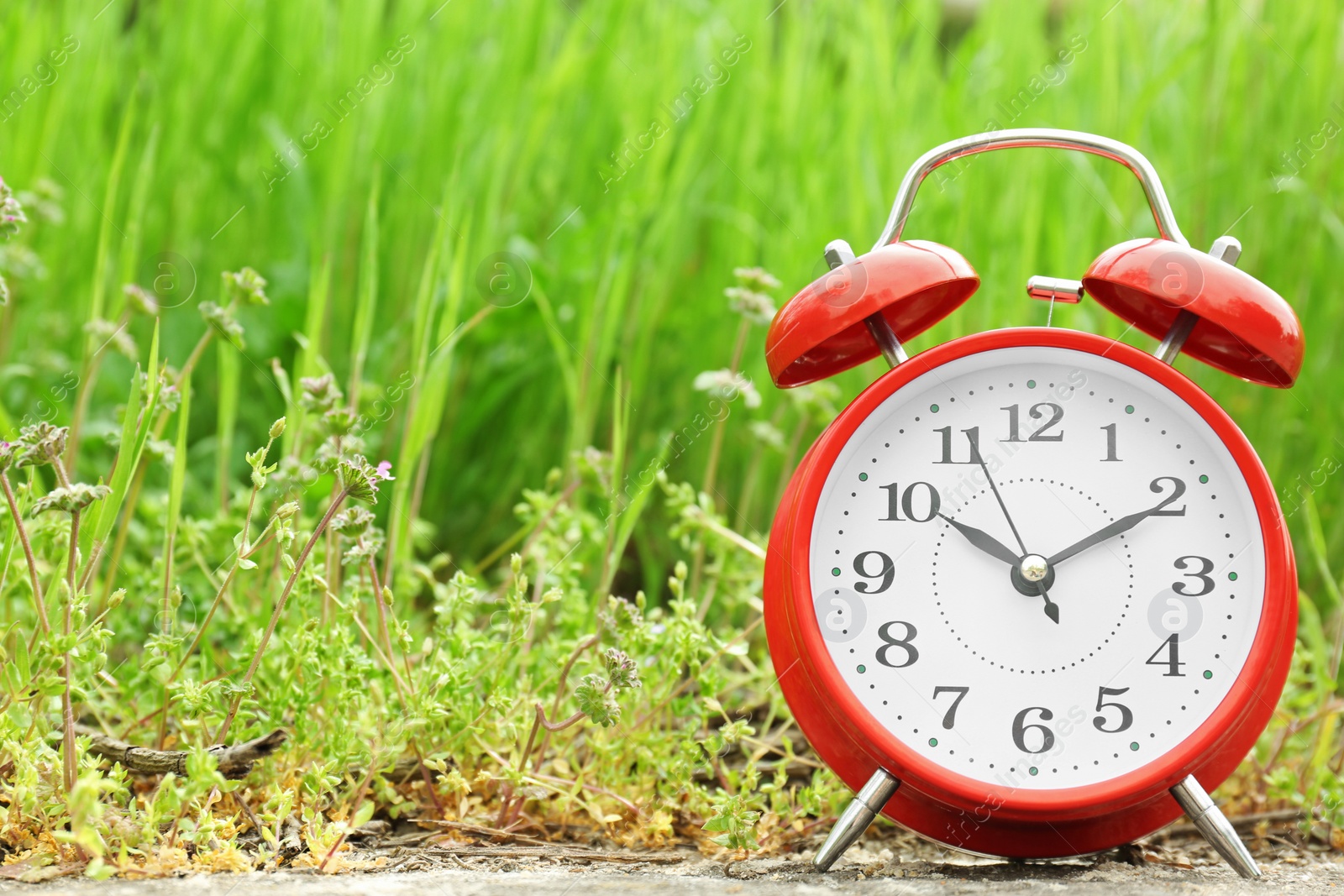 Photo of Alarm clock near green grass, outdoors. Time change concept