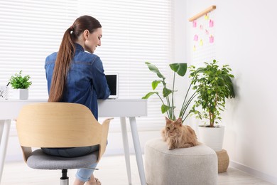 Photo of Woman working at desk and cat in room. Home office