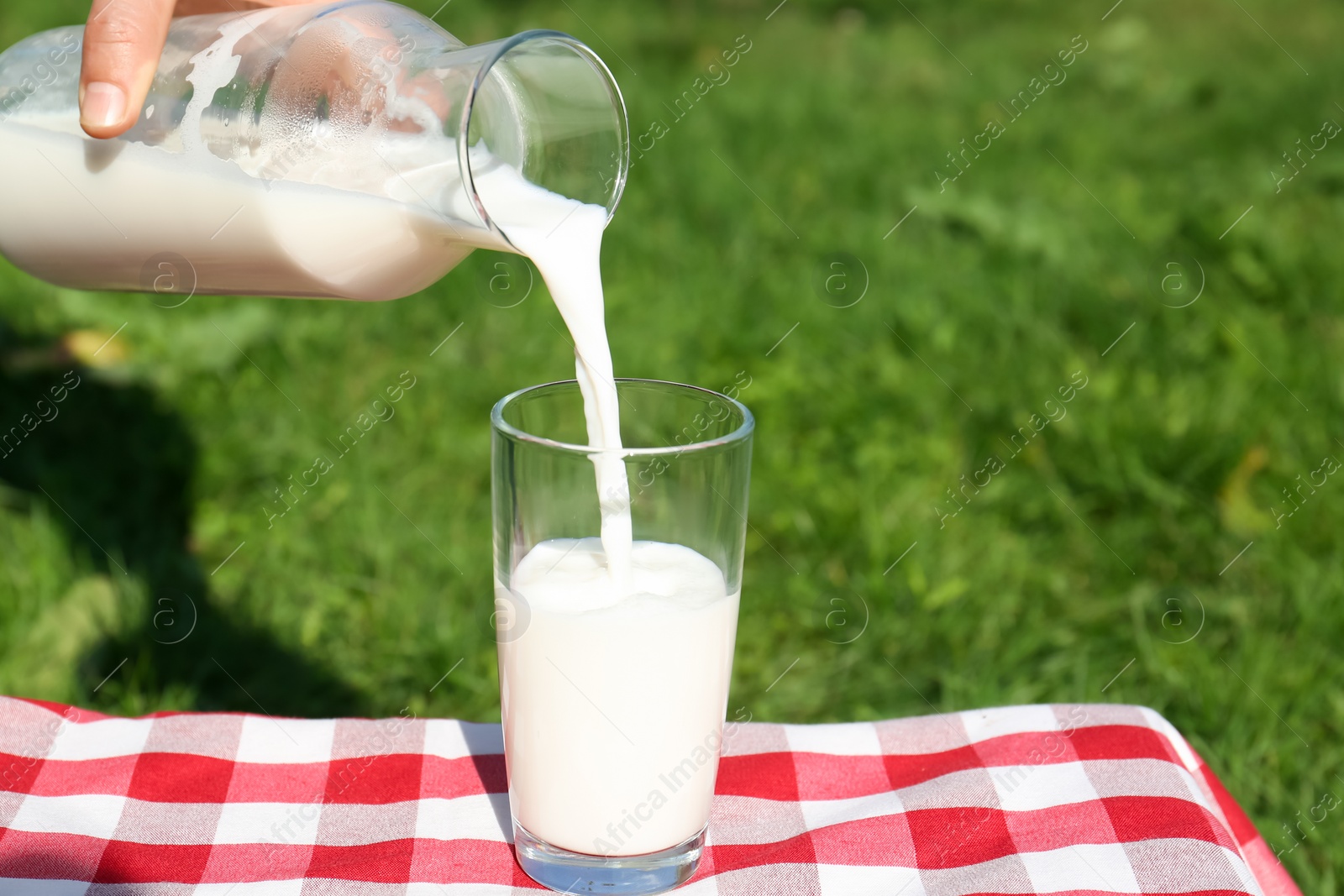 Photo of Woman pouring fresh milk from bottle into glass on checkered blanket outdoors, closeup