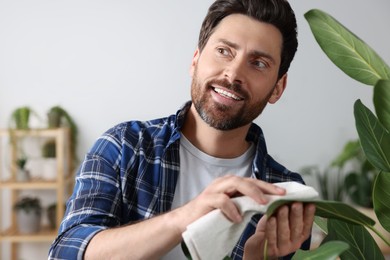 Photo of Man wiping leaves of beautiful potted houseplants with cloth indoors