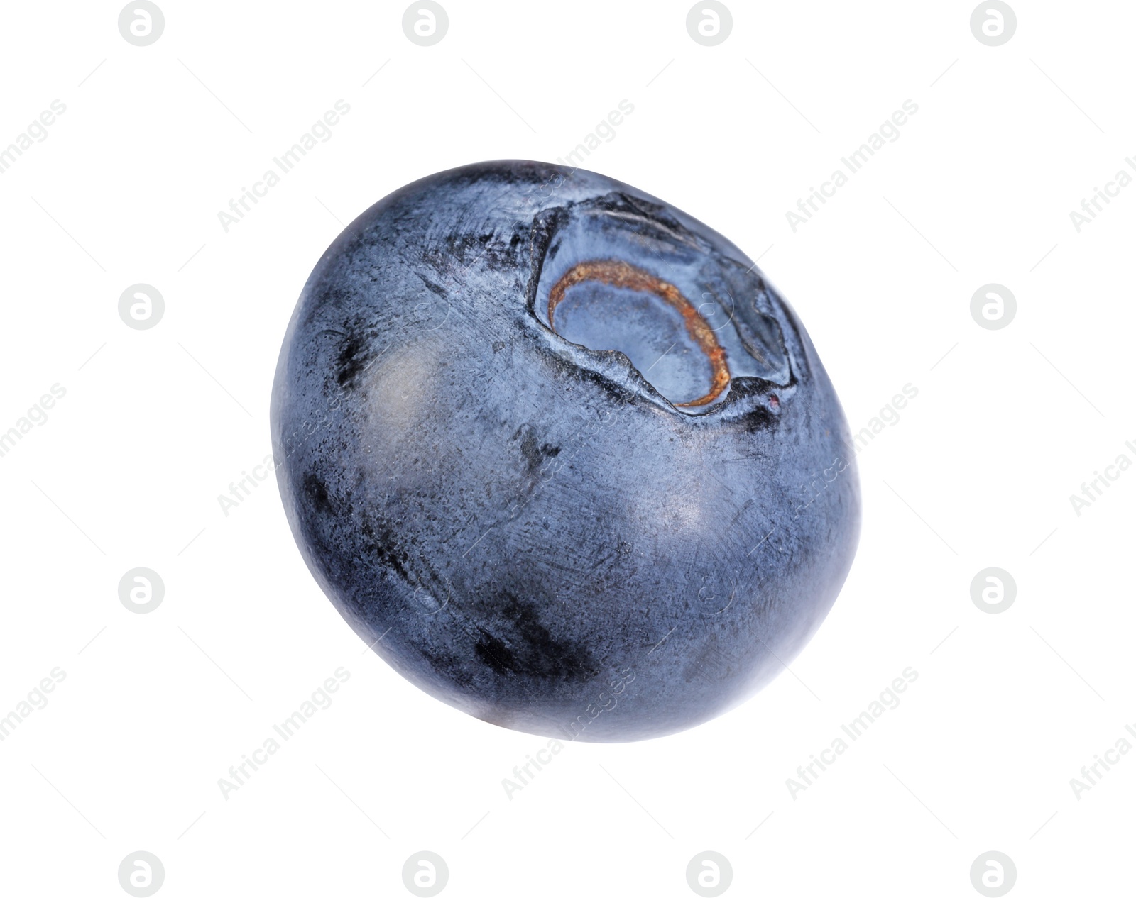 Photo of One fresh ripe blueberry isolated on white