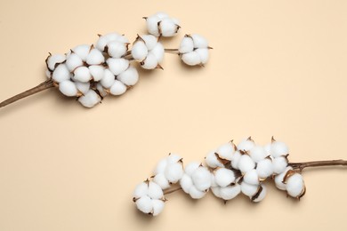 Beautiful cotton branches with fluffy flowers on beige background, flat lay. Space for text