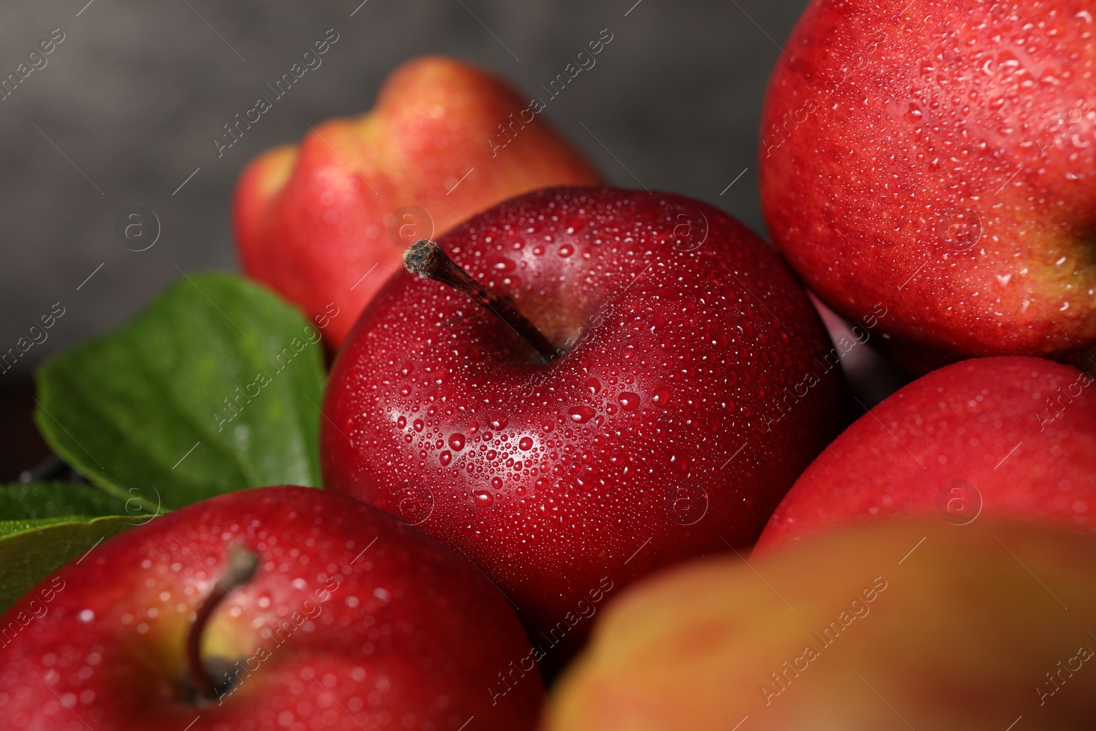 Photo of Fresh ripe red apples with water drops on grey background, closeup