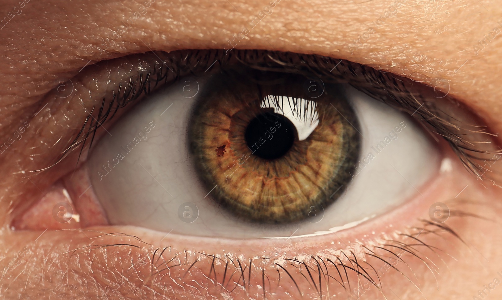 Image of Closeup view of man with beautiful eye