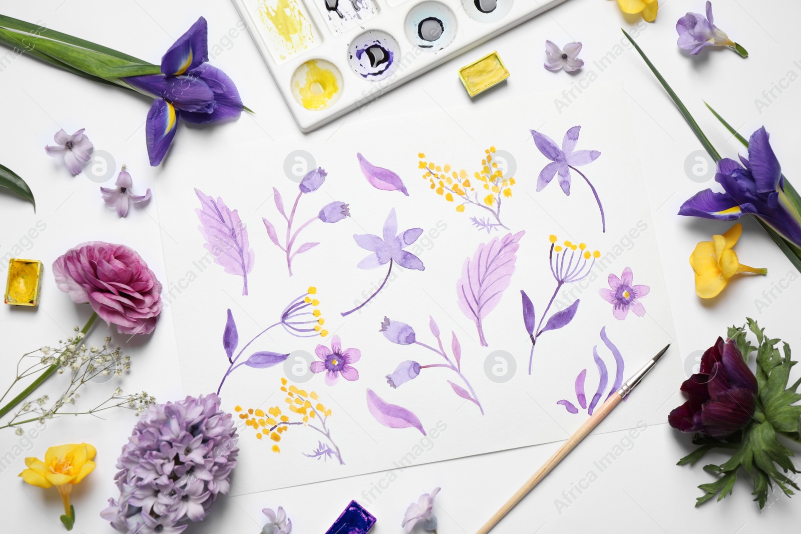 Photo of Flat lay composition with watercolor paints and floral picture on white background