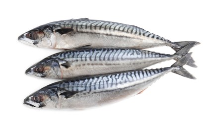 Photo of Three tasty raw mackerels isolated on white