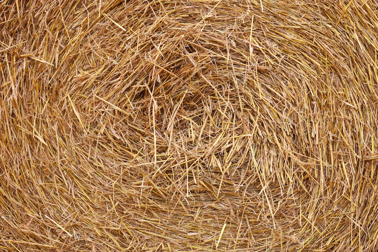 Photo of Hay bale roll as background, closeup view