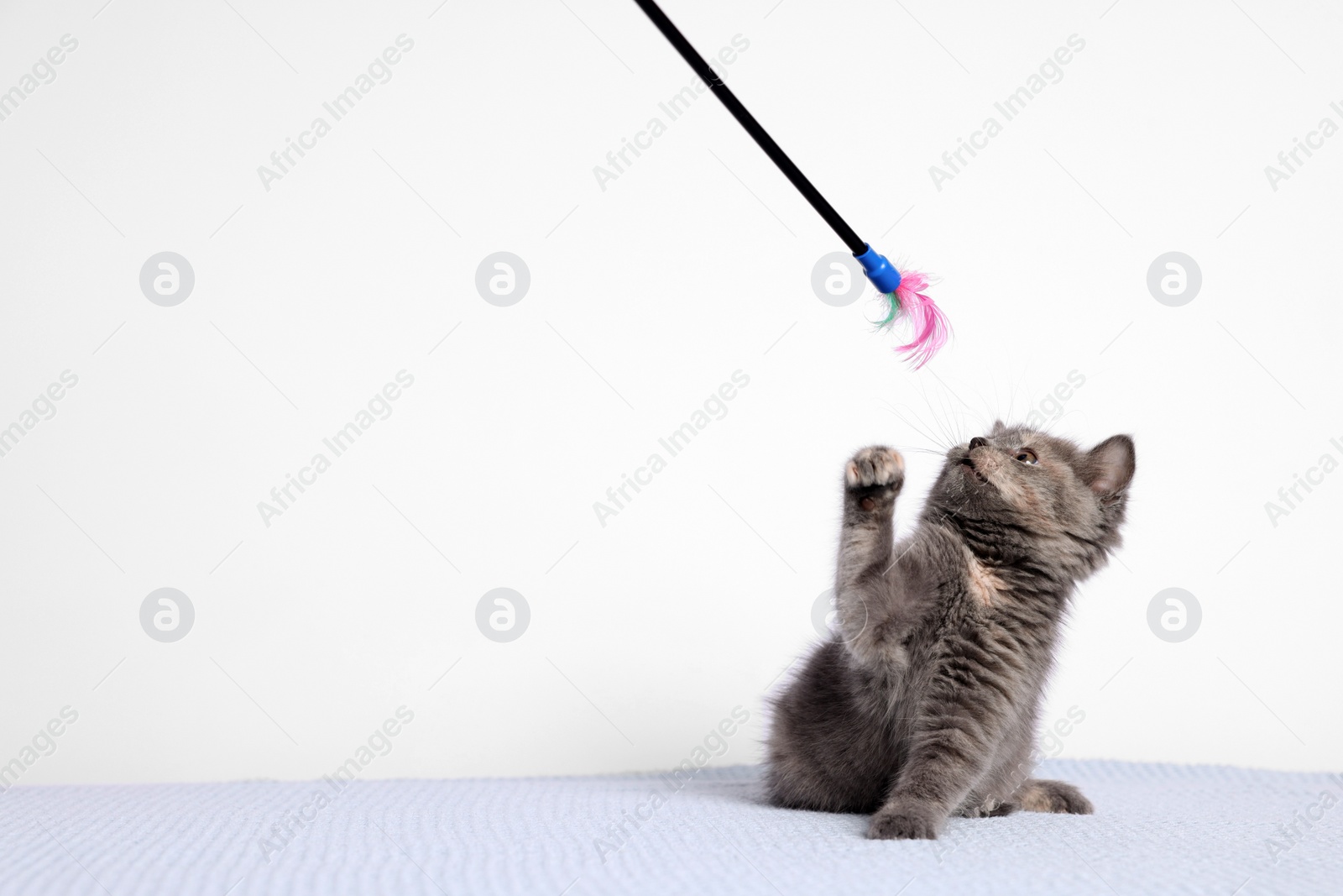 Photo of Cute fluffy kitten on blanket against light background. Space for text