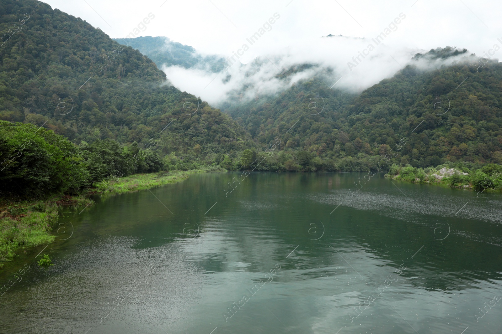 Photo of Picturesque view of beautiful river in mountains