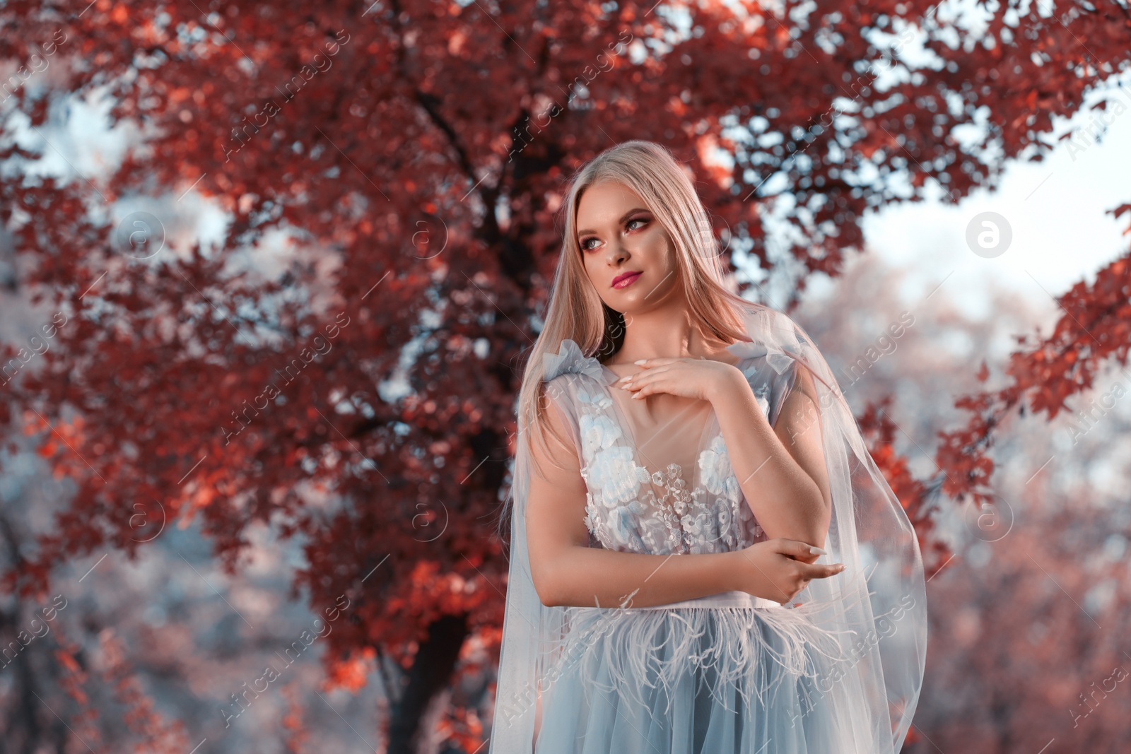 Photo of Beautiful girl wearing fairy dress in autumn forest