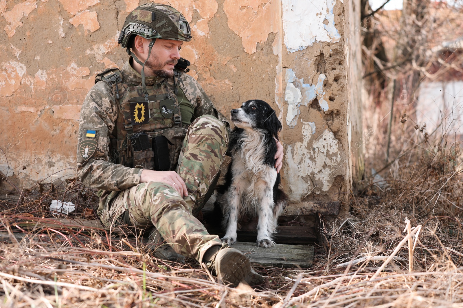 Photo of Ukrainian soldier with stray dog sitting outdoors