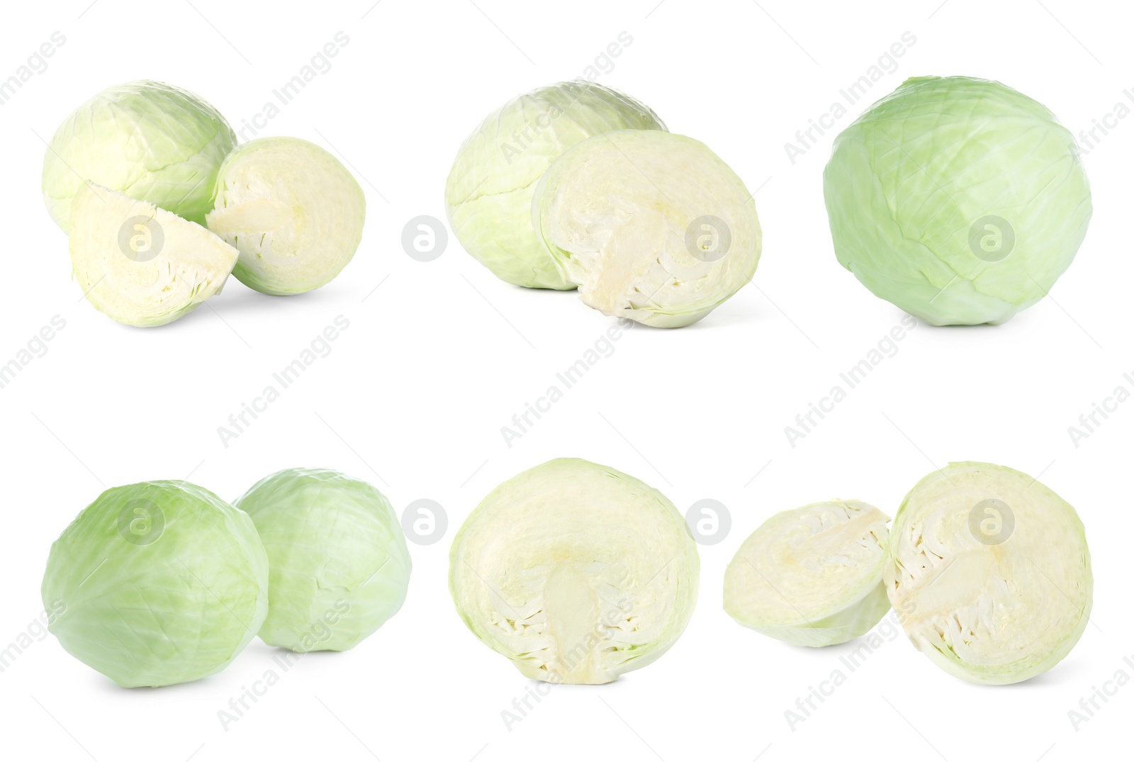 Image of Set of fresh ripe cabbages on white background