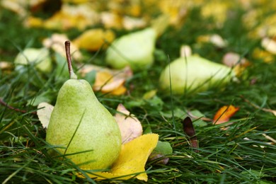 Photo of Tasty pear and fallen yellow leaves on green grass