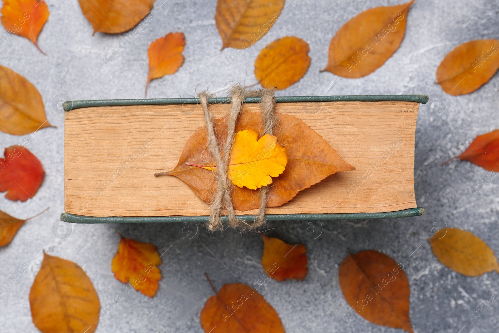 Photo of Book decorated with autumn leaves on light gray table, top view