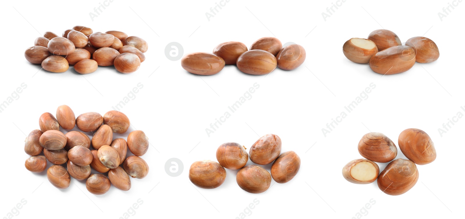 Image of Set with jackfruit seeds on white background. Banner design