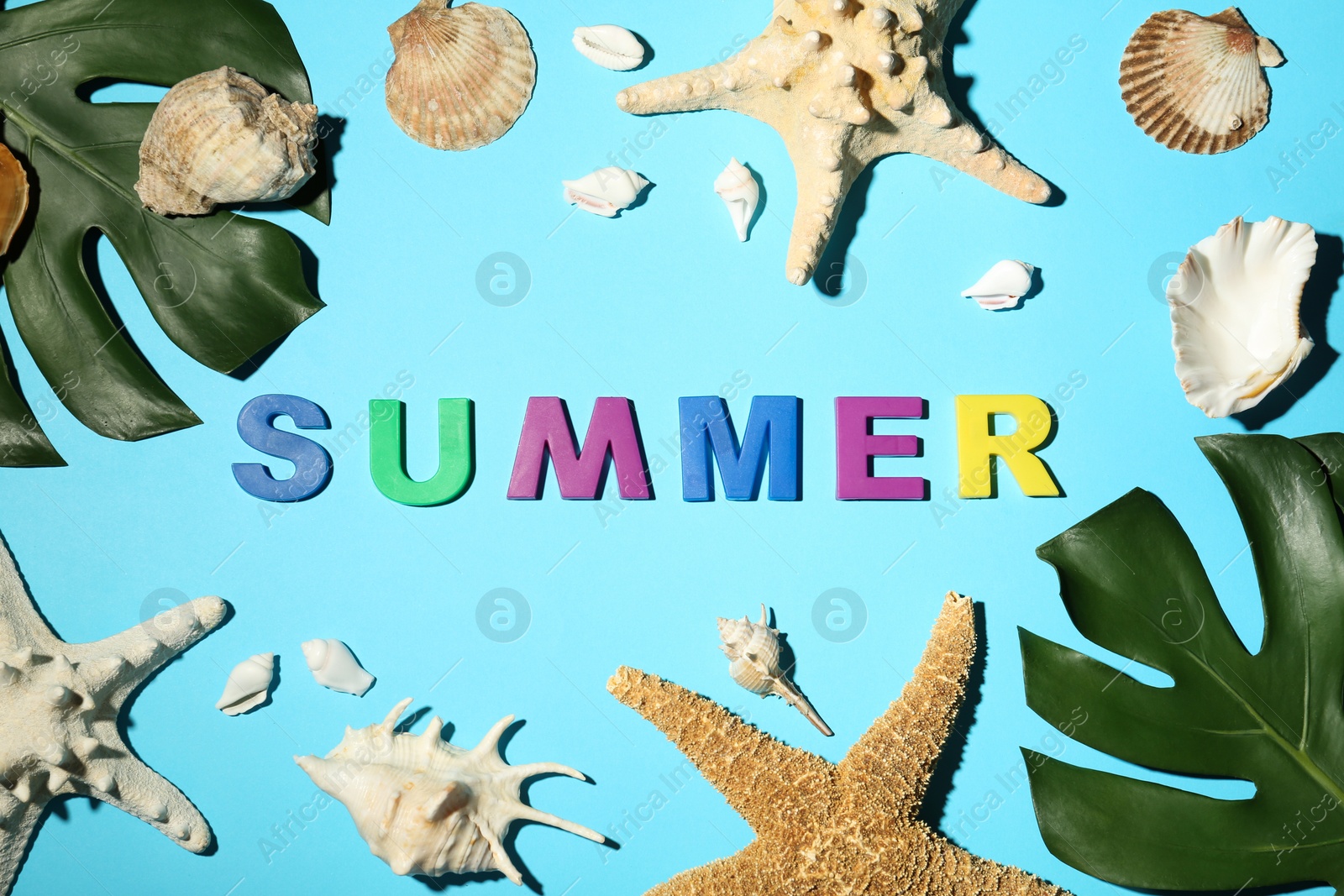 Photo of Seashells, monstera leaf and word SUMMER on light blue background, flat lay