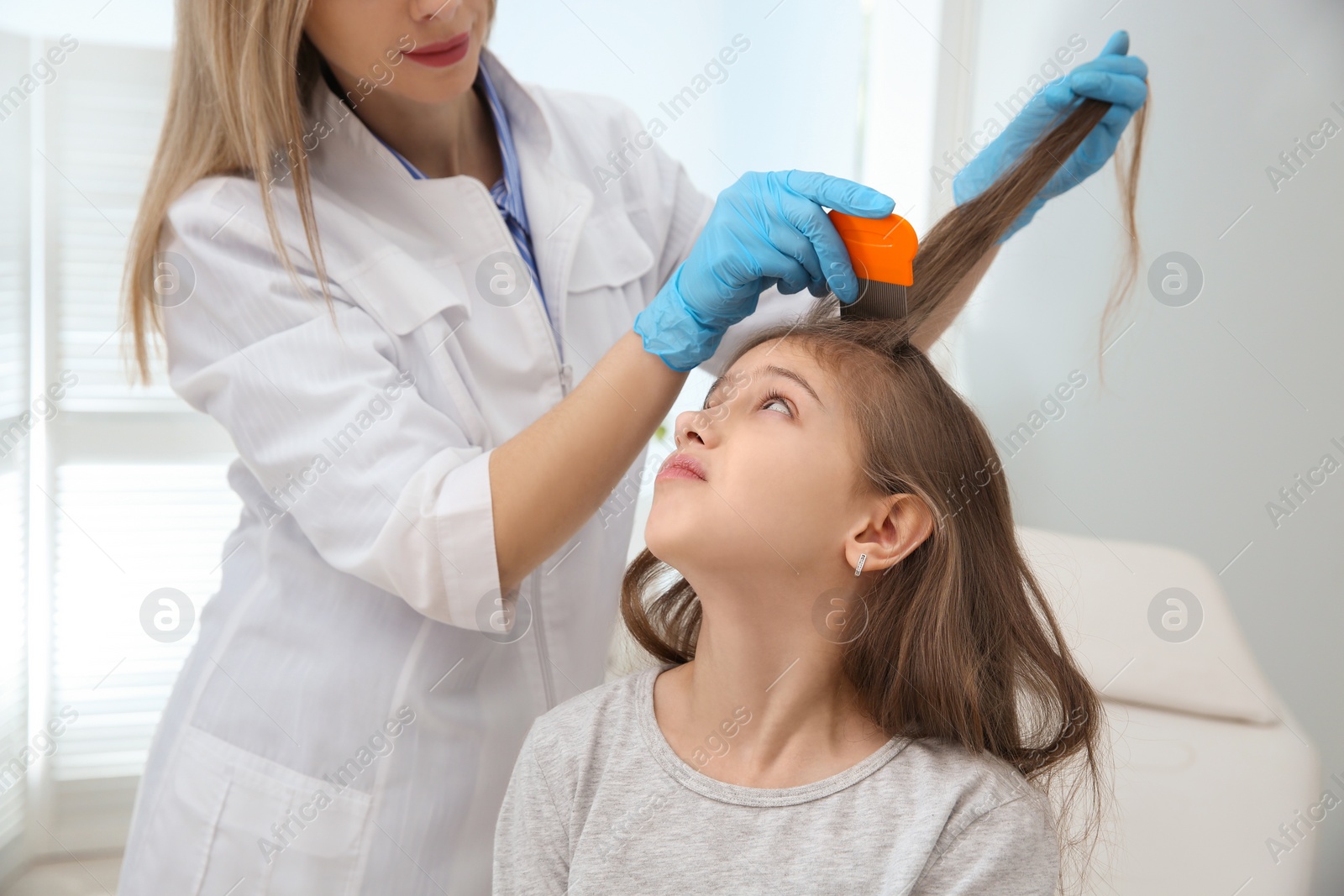 Photo of Doctor using nit comb on girl's hair in clinic. Anti lice treatment