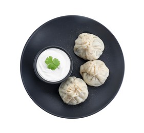 Photo of Tasty khinkali (dumplings) with sauce and spices isolated on white, top view. Georgian cuisine