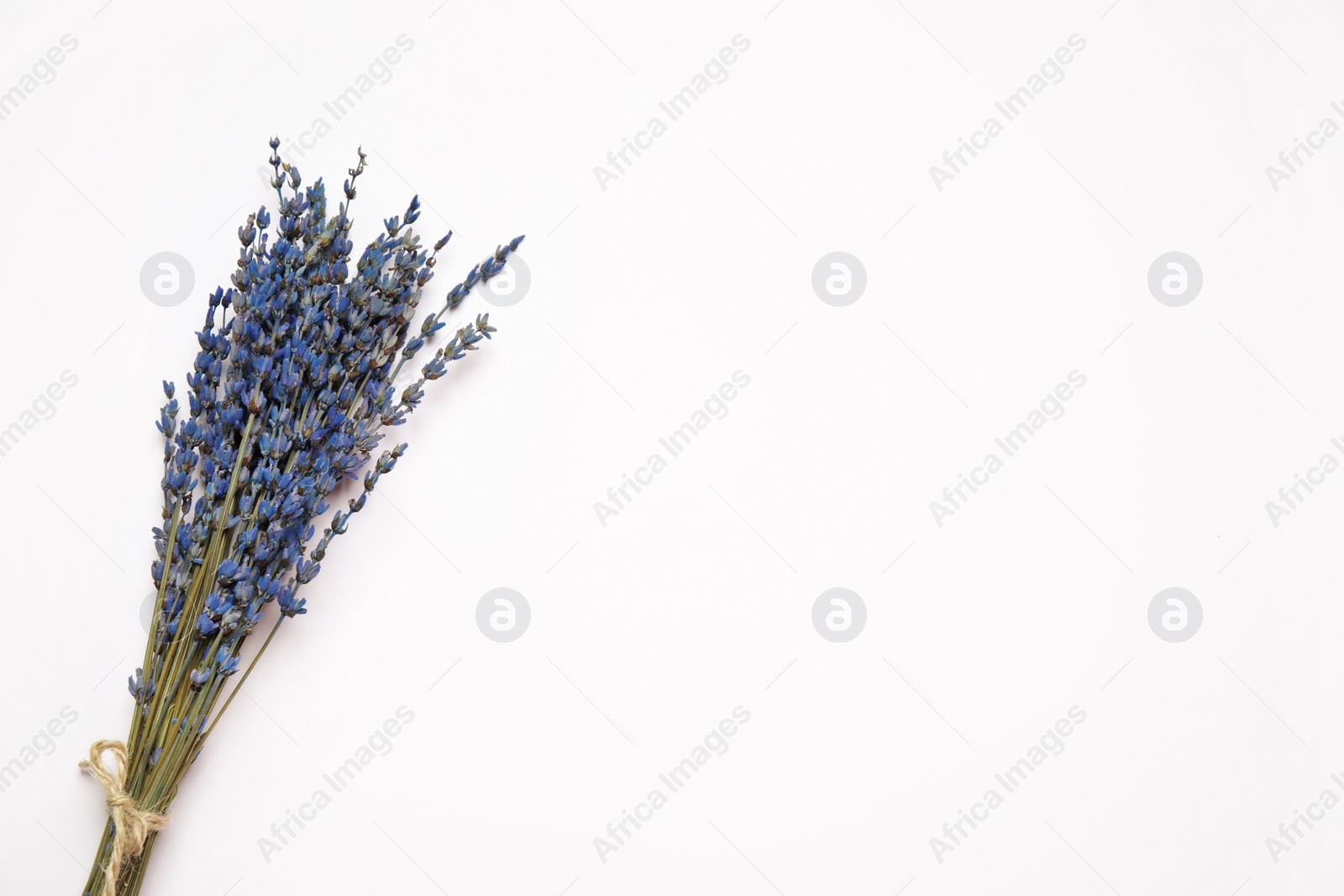 Photo of Bunch of beautiful dried flowers on white background, top view