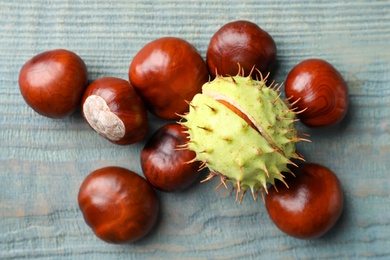 Photo of Many horse chestnuts on blue wooden table, flat lay