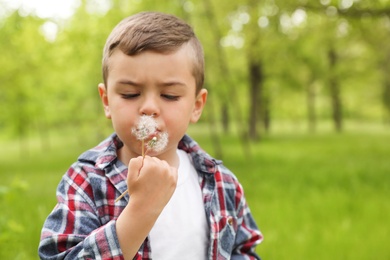 Photo of Healthy little boy blowing on dandelions outdoors, space for text. Allergy free concept