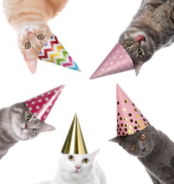 Image of Cute cats with party hats on white background, collage