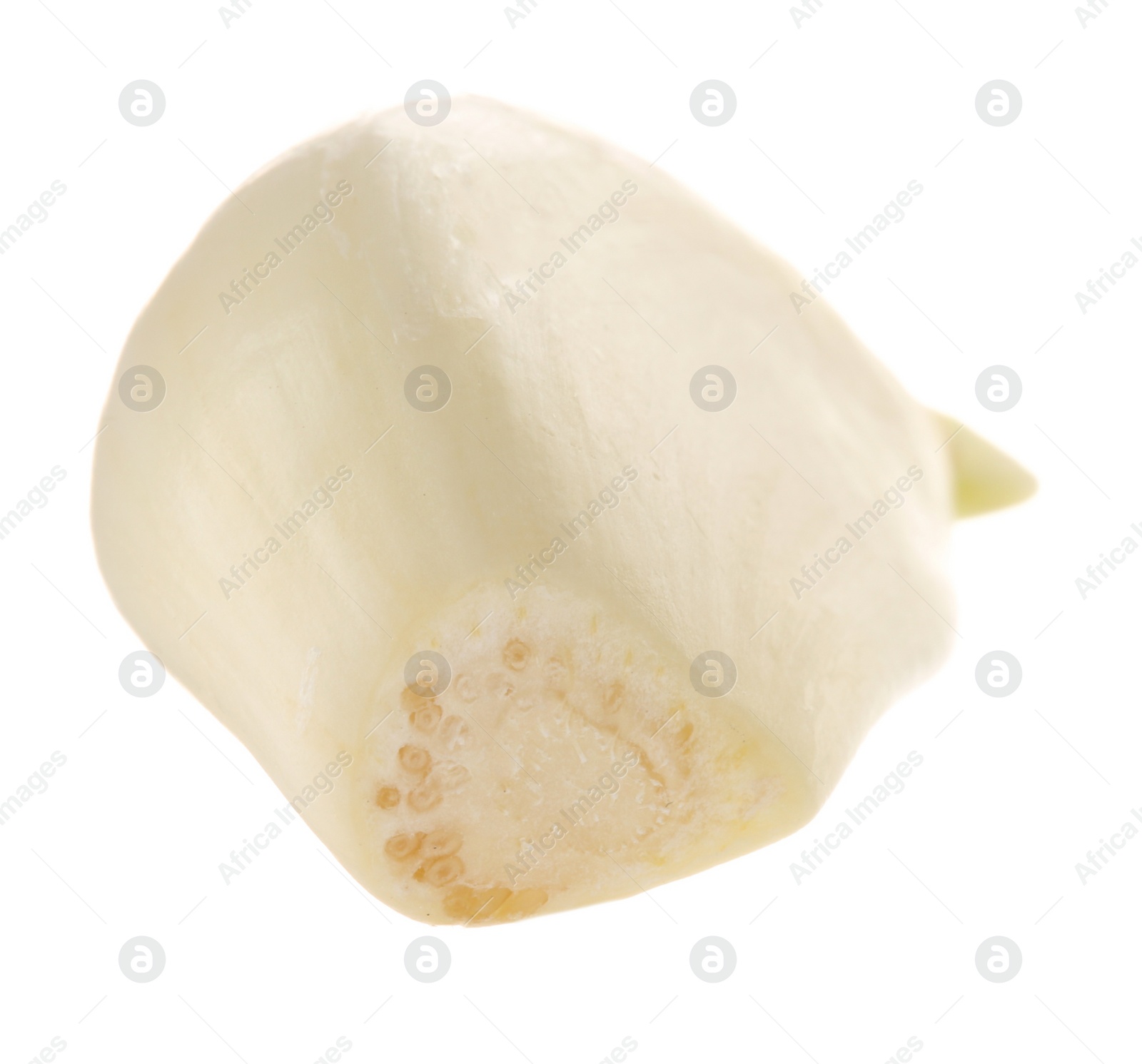 Photo of One peeled clove of garlic isolated on white