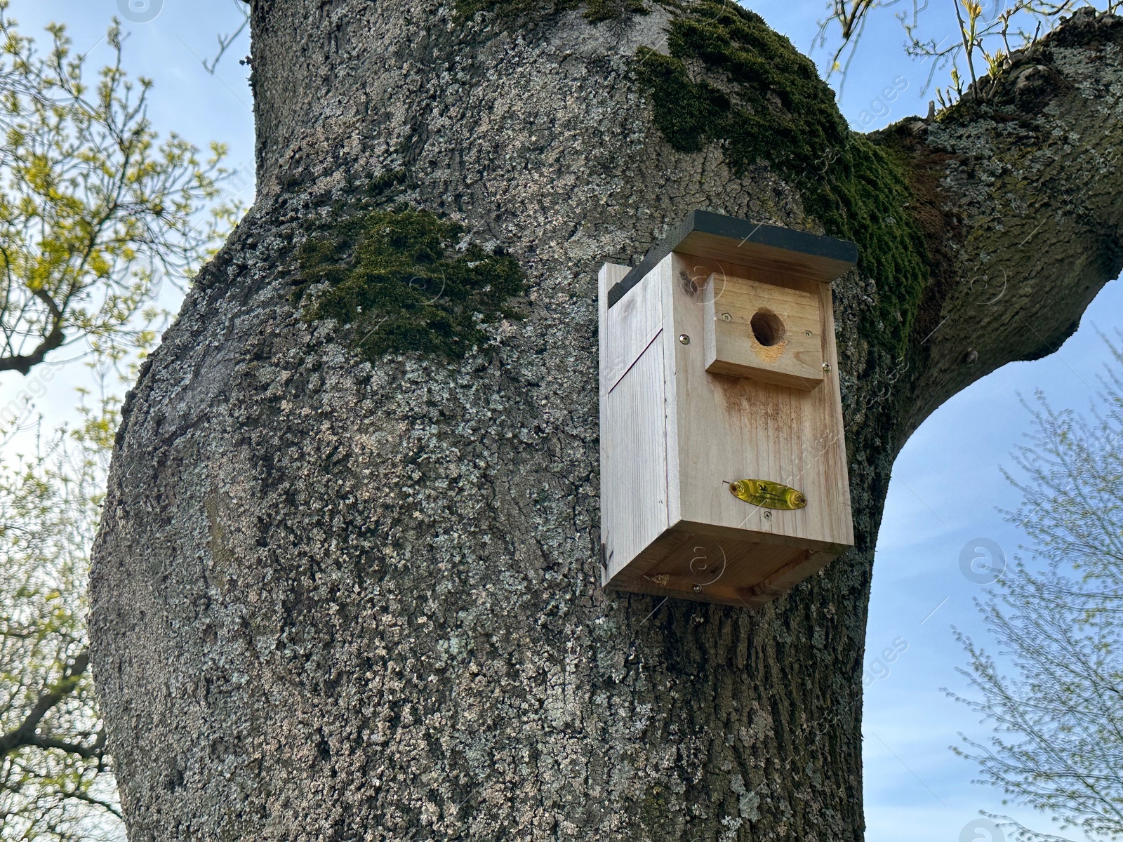 Photo of Beautiful wooden birdhouse hanging on tree trunk in park