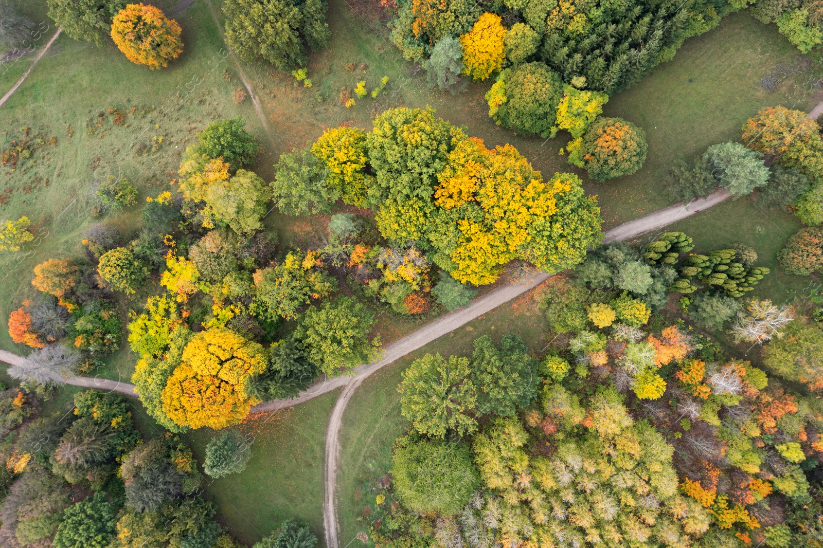 Image of Aerial view of beautiful forest on autumn day