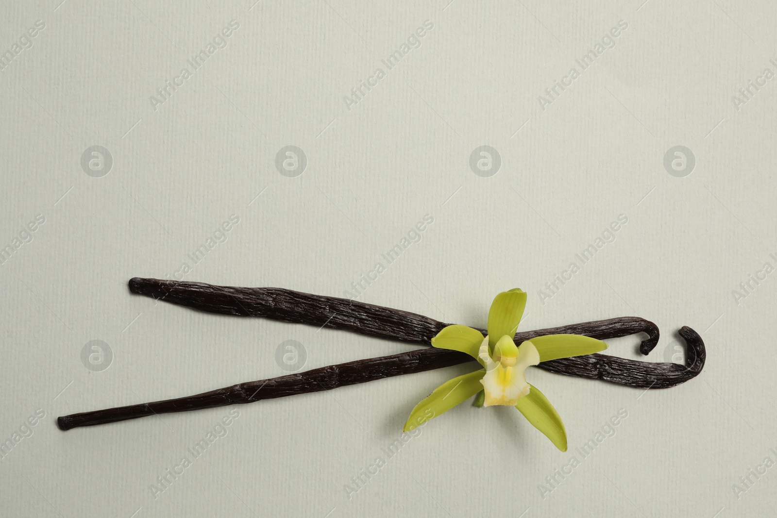 Photo of Vanilla pods and beautiful flower on light grey background, top view. Space for text