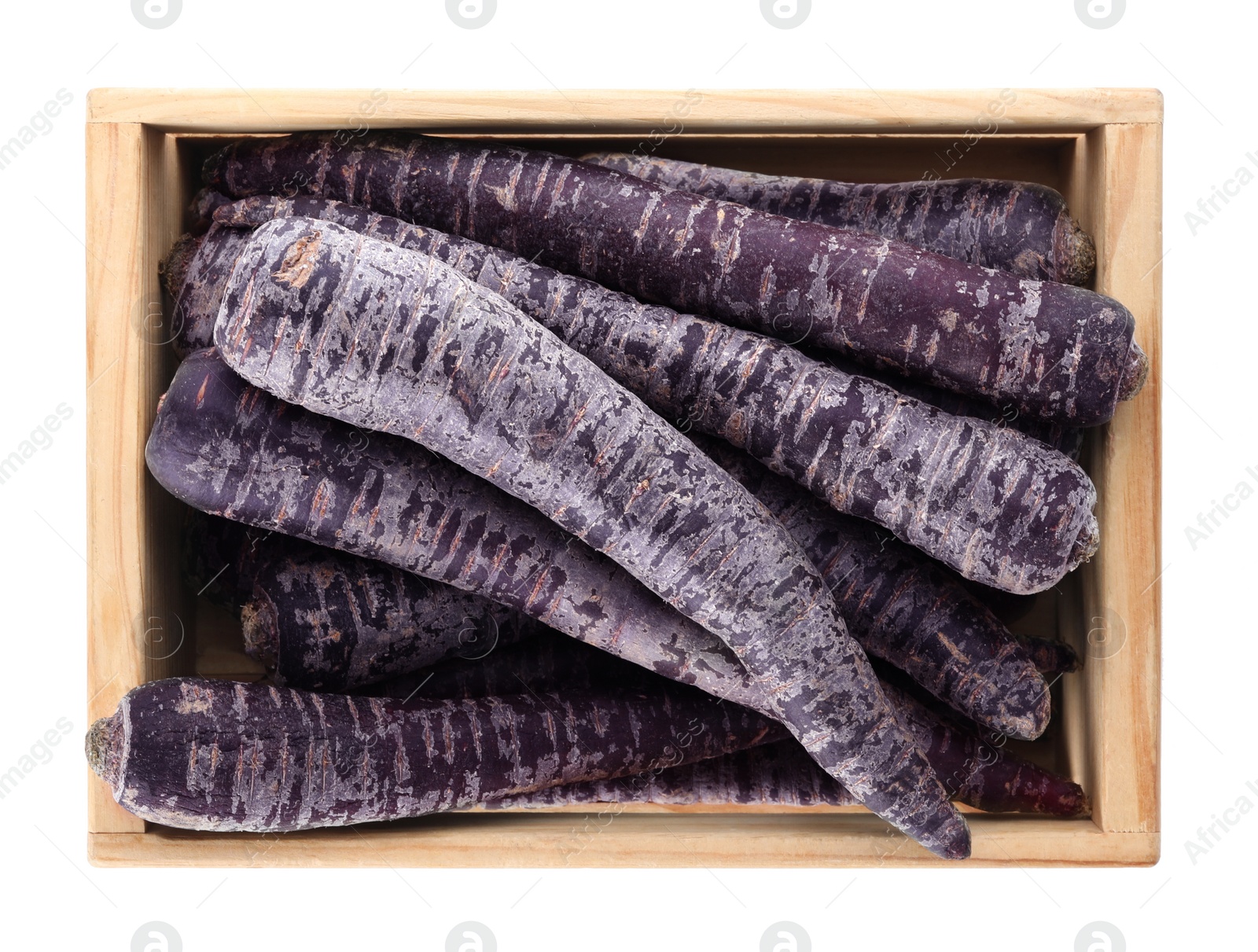 Photo of Raw black carrots in wooden crate isolated on white, top view