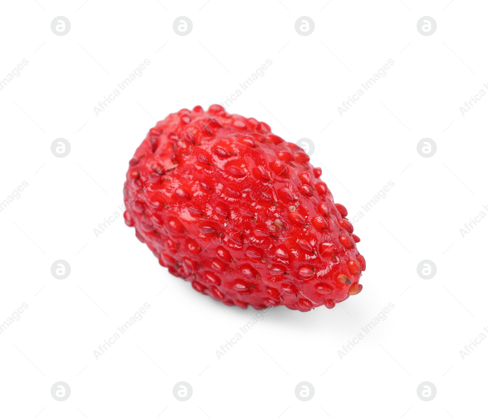 Photo of One ripe wild strawberry isolated on white