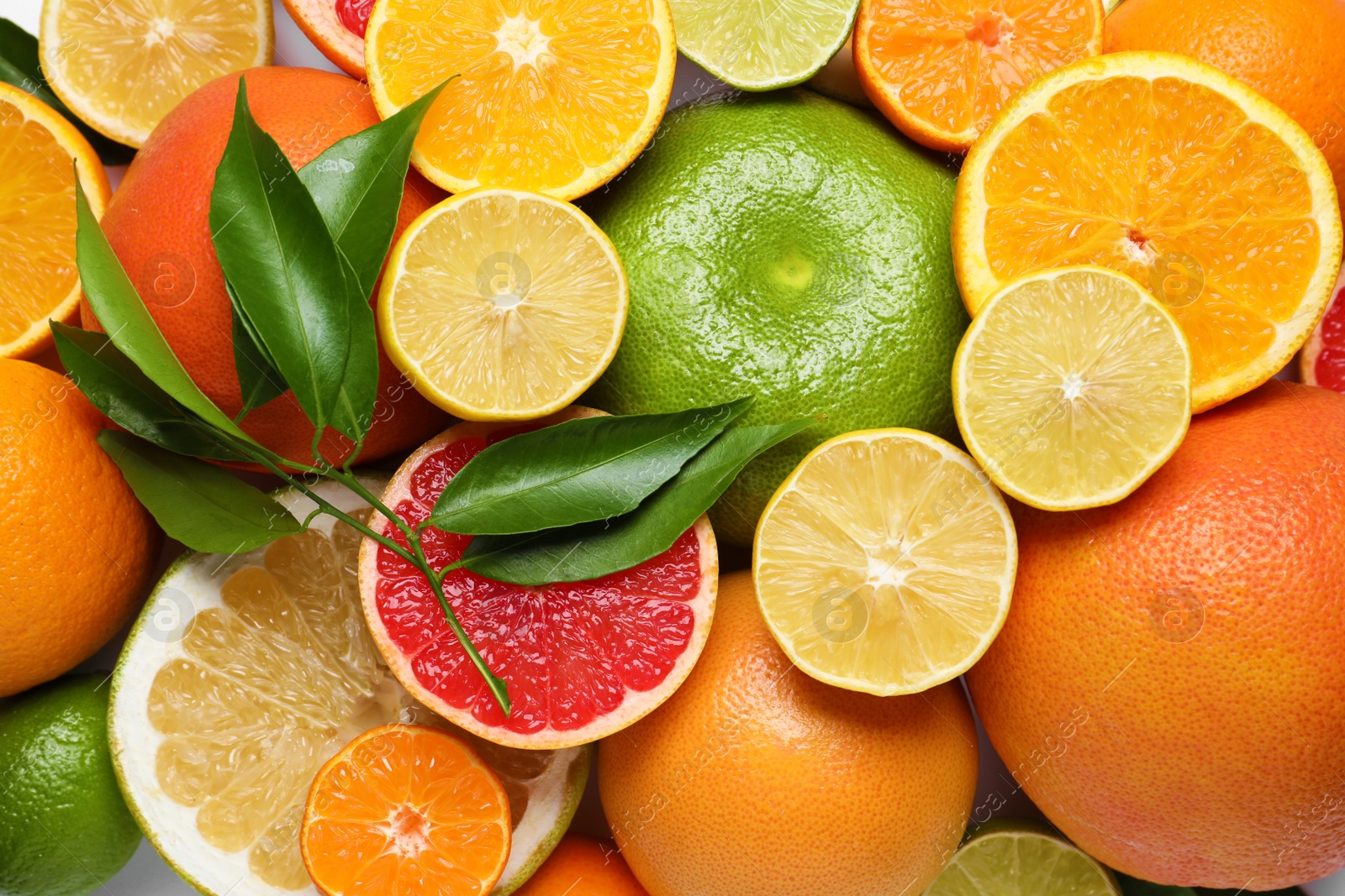 Photo of Different citrus fruits with fresh leaves as background, top view