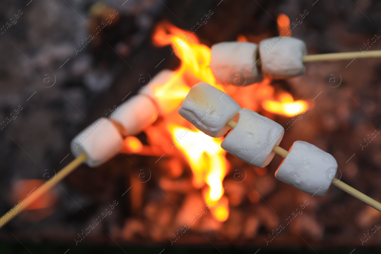 Photo of Delicious puffy marshmallows roasting over bonfire, closeup. Space for text