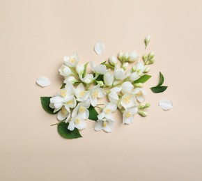 Photo of Flat lay composition with beautiful jasmine flowers on beige background
